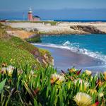 Steamer Lane & The Santa Cruz Surfing Museum