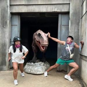 Emergency Fund (just in case the dinosaurs attack)