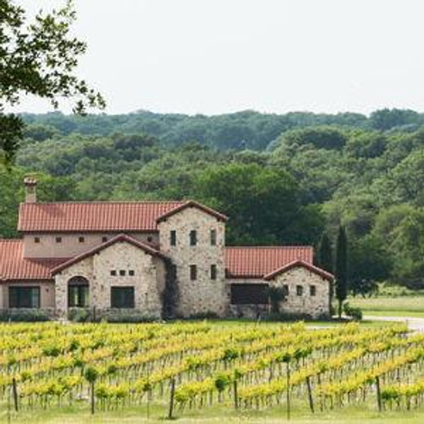 Winery Tour in Florence