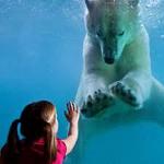 Point Defiance Zoo & Aquarium