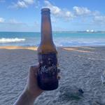 Ocean Lab Brewing Co.