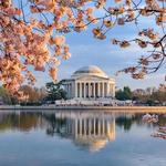 Tidal Basin