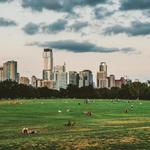 Zilker Park