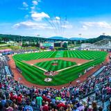 Altoona Curve Baseball