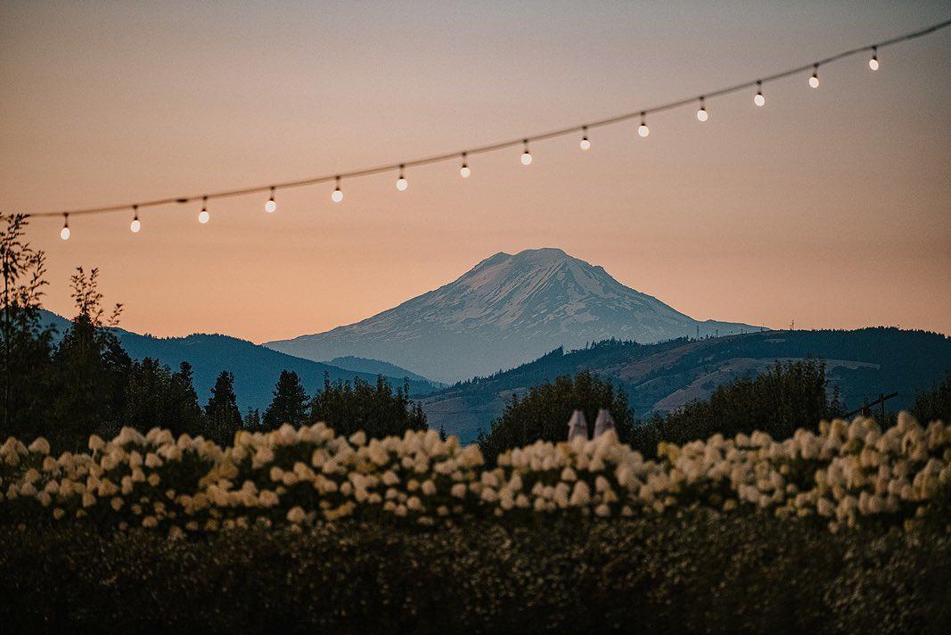 The Wedding Website of Brian Lowe and Anneka Crowley