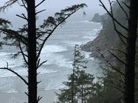 Cape Falcon Trailhead