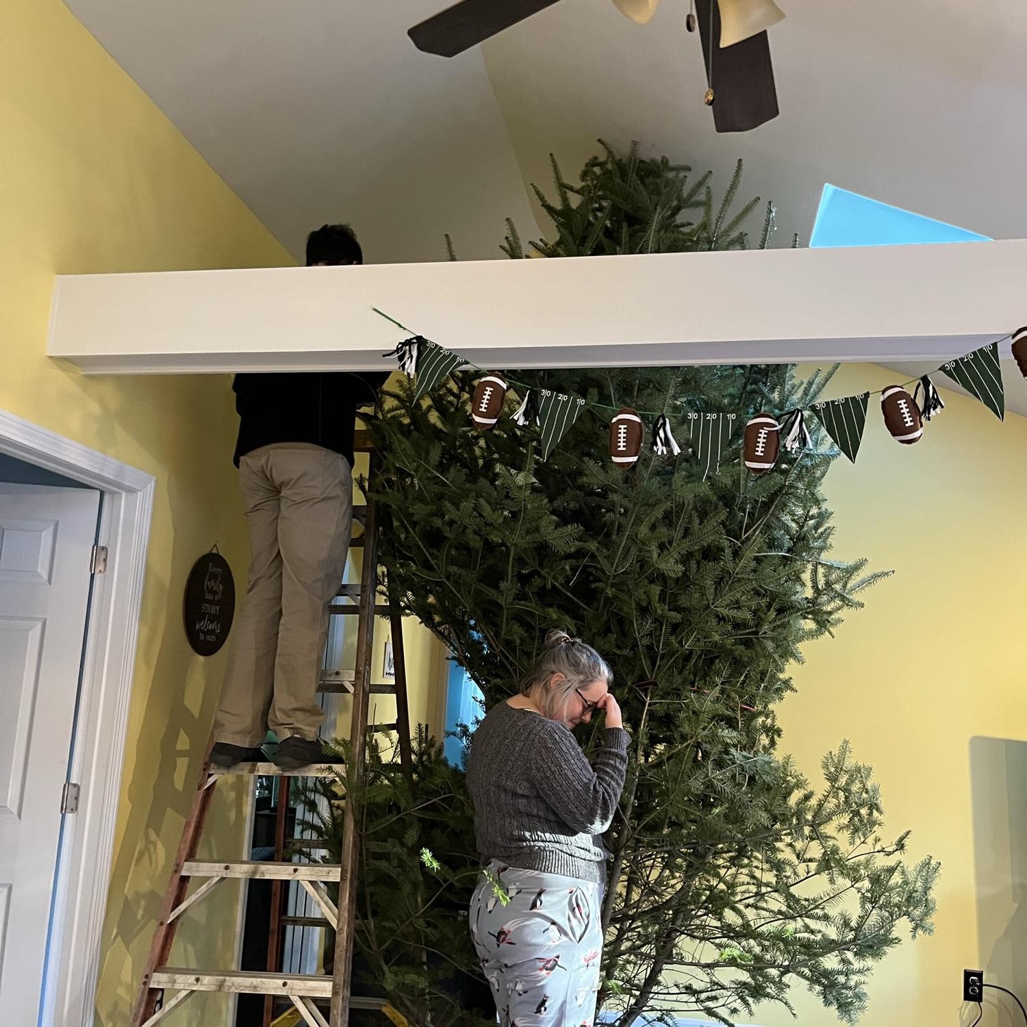 Our first Christmas tree!