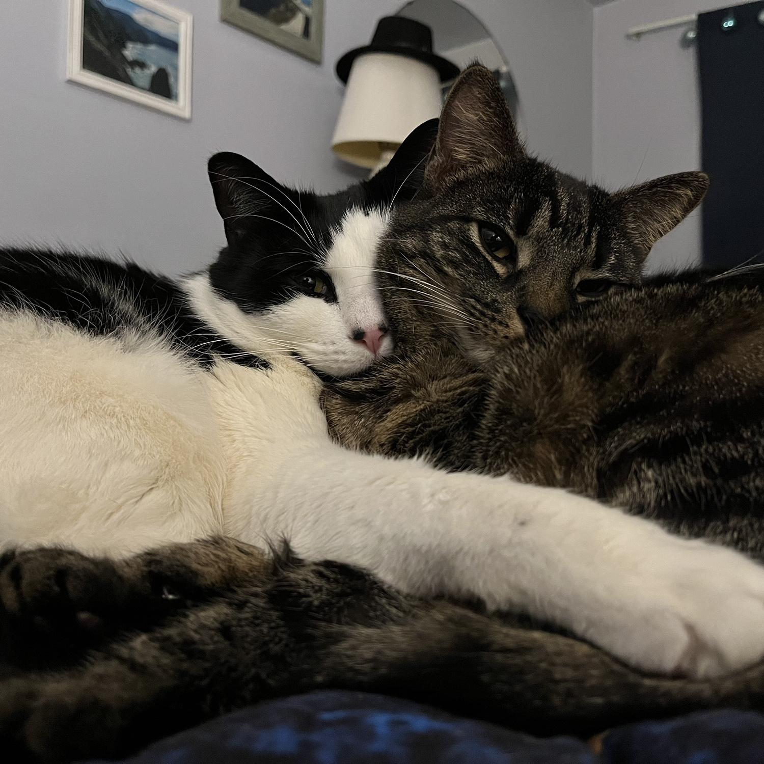 Babies!! 😻