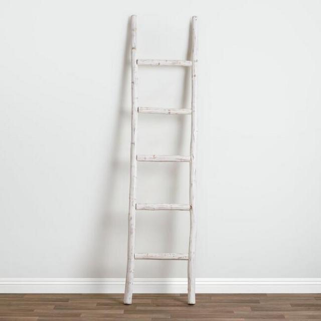 Whitewash Eucalyptus Ladder Decor