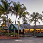 Dolphin Bar and Shrimp House