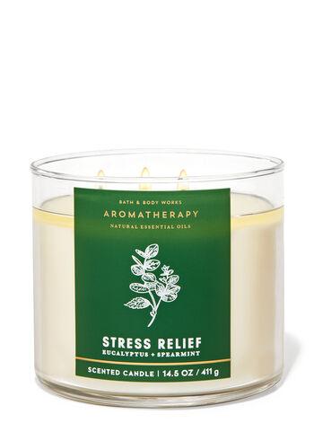 Aromatherapy Eucalyptus Spearmint 3-Wick Candle