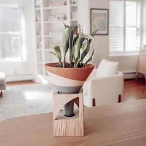 Terracotta Colorblock Cone Pot on Wooden Stand