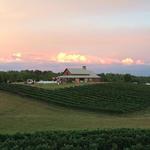 CeNita Vineyards, Winery & Tasting Room