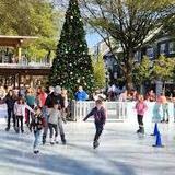 Birkdale on Ice