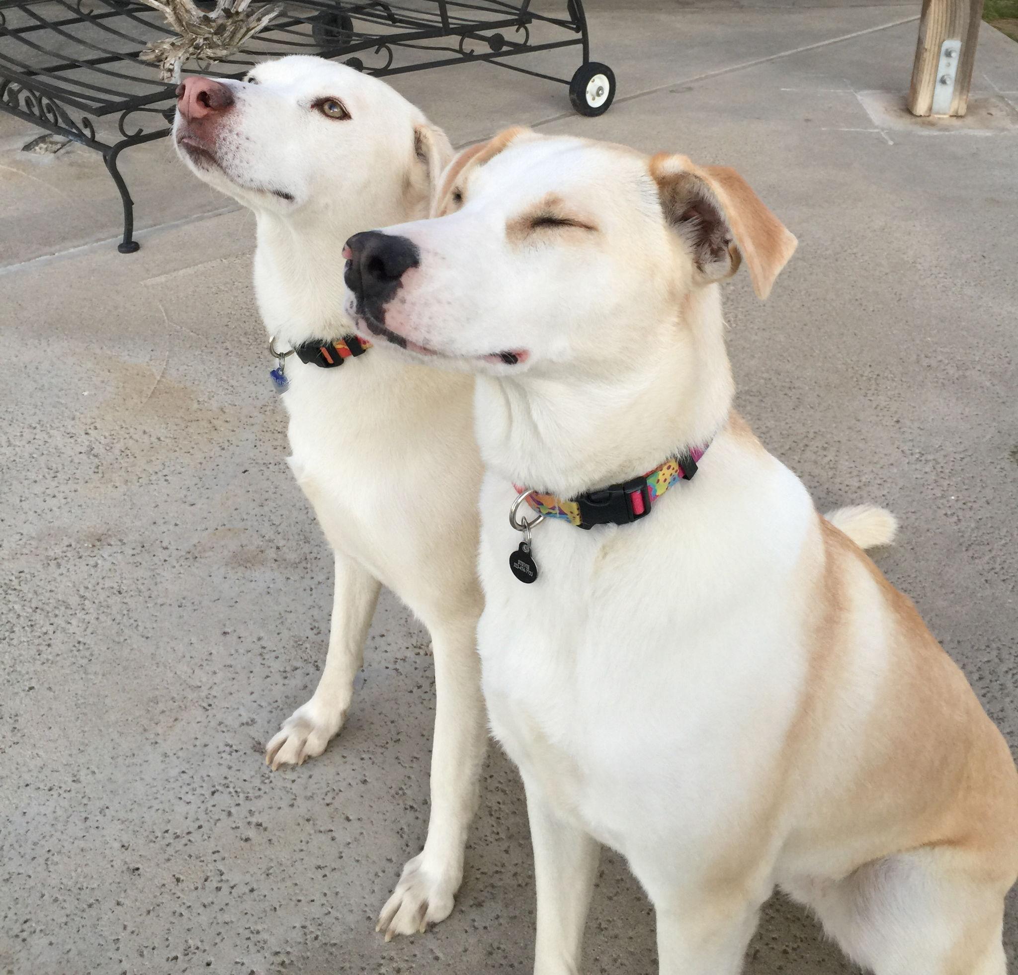 The Wedding Website of Genevieve Zander and Jeffery Baker