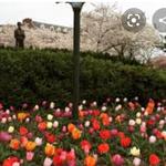 Lytle Park Historic District