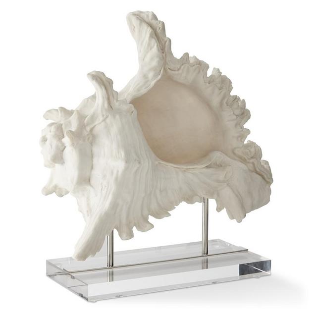 Sea Life Object On Stand, Conch Shell