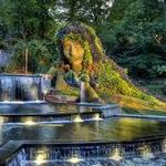 Atlanta Botanical Garden