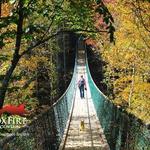 Foxfire Mountain Adventure Park