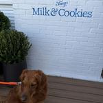 Tiny's Milk & Cookies - Heights