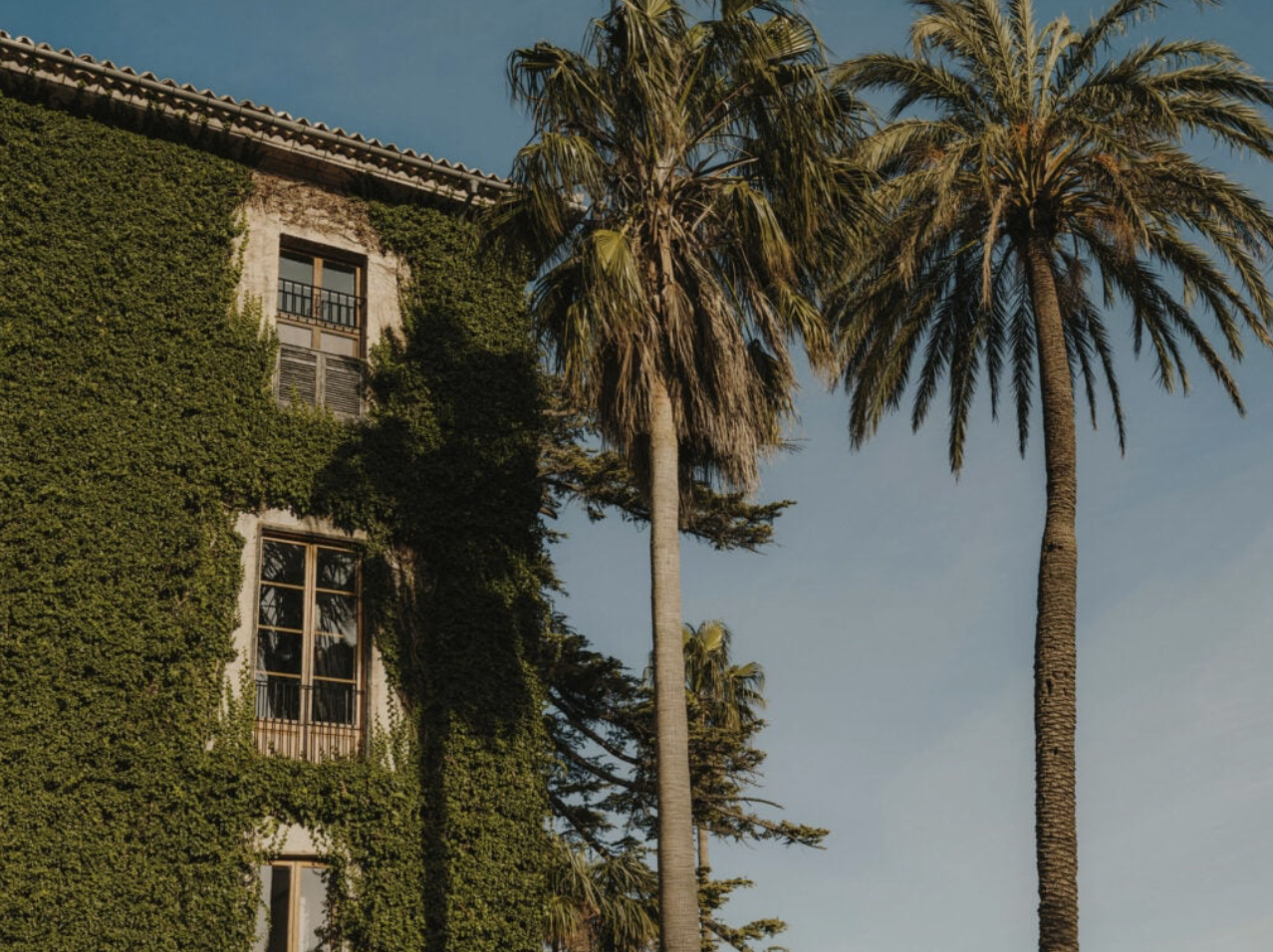 The Wedding Website of Lizzie Maguire and Noah Wait
