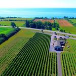 🥂Sandbanks Estate Winery
