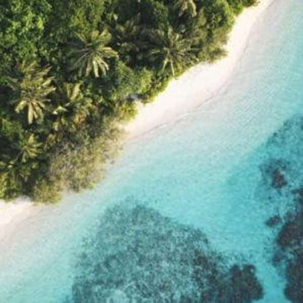 Honeymoon Fund