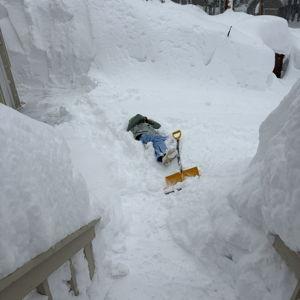 Honda Snow Blower Fund