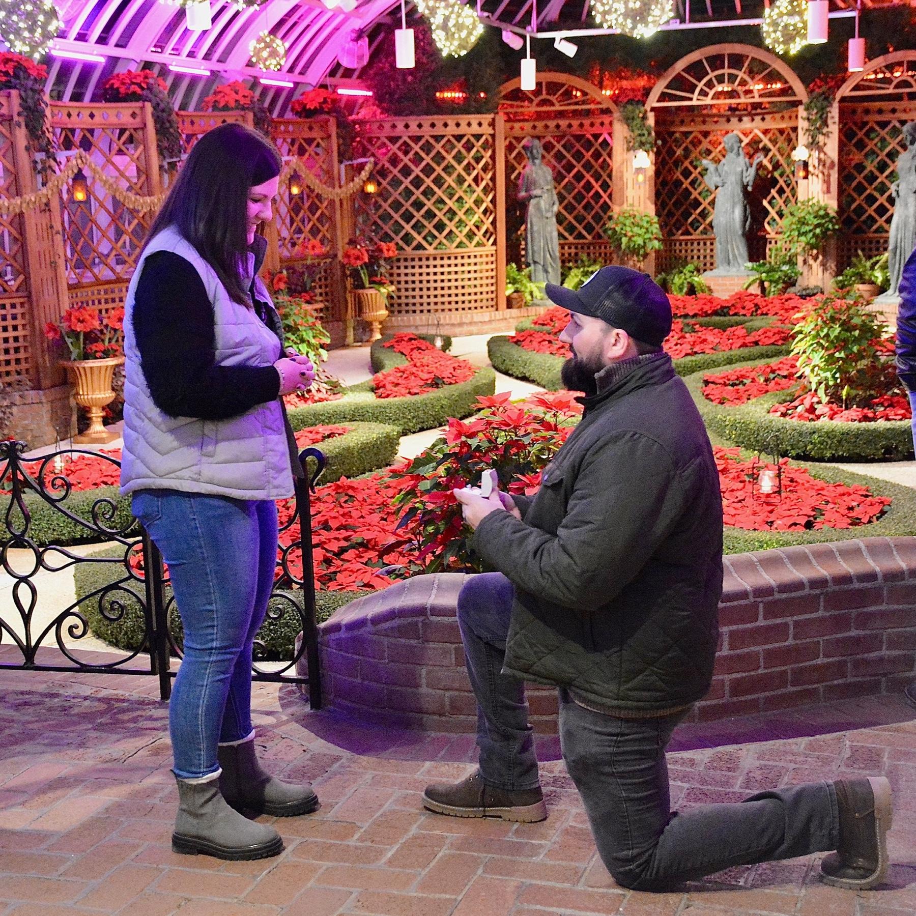 The perfect proposal