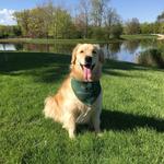 The Morton Arboretum