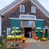 Russell Orchards