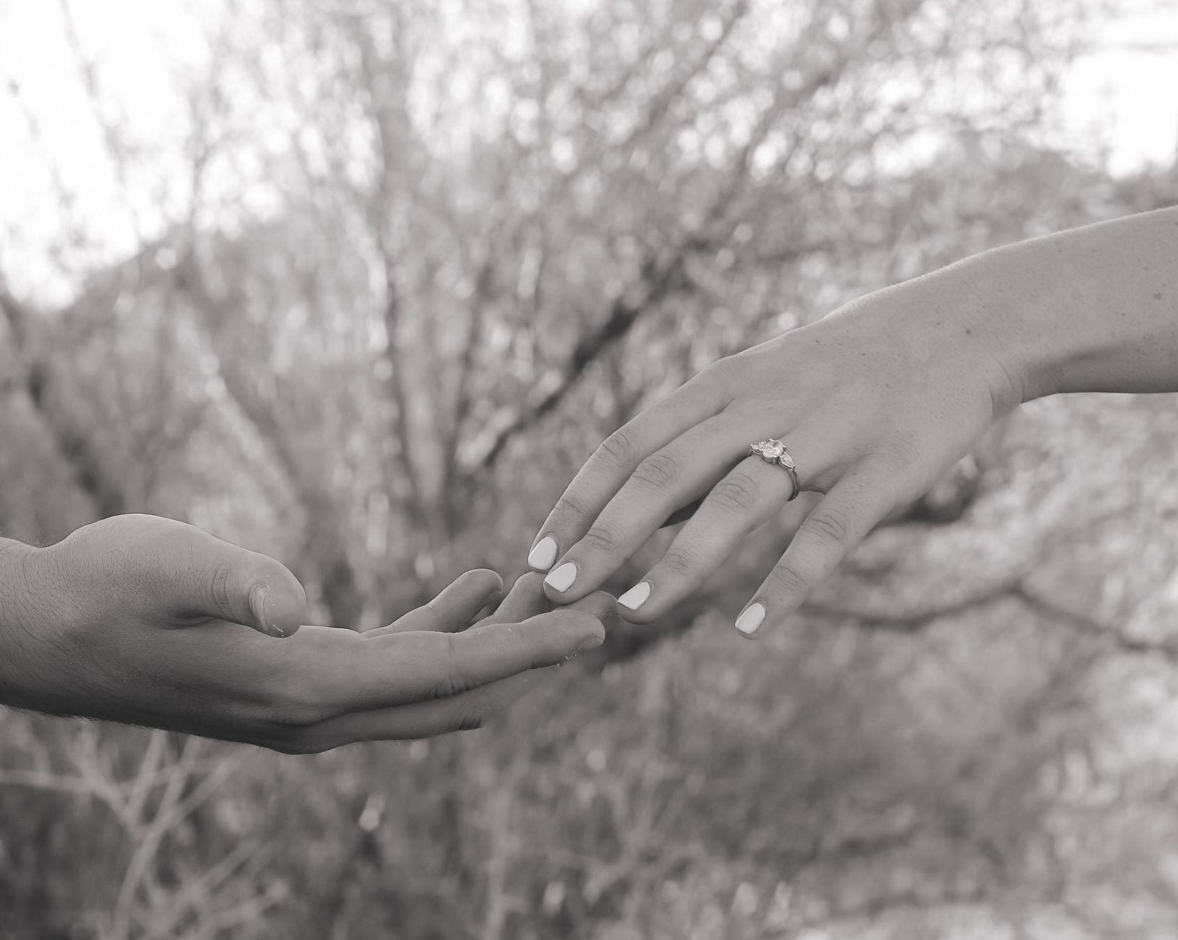 The Wedding Website of Natalie Weidner and James Johnson