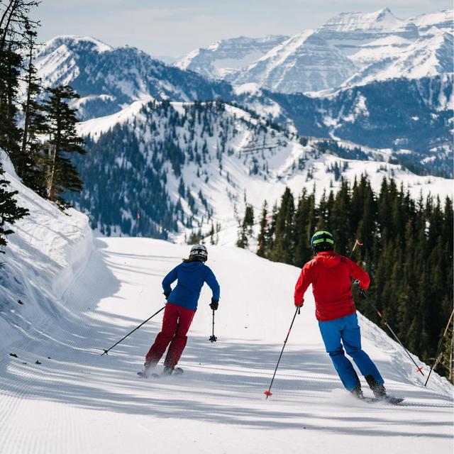 Ski Passes