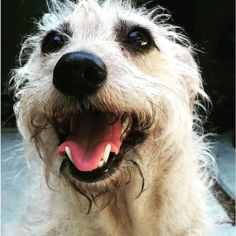 This is Melvin. He doesn't pay for anything, but we still let him stay with us. We love him.