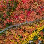 Alpine Loop Scenic Byway