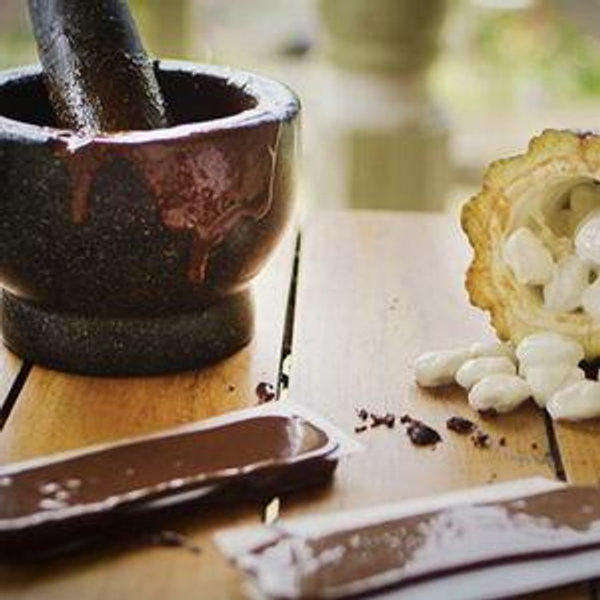 Chocolate Farm Tour for 2