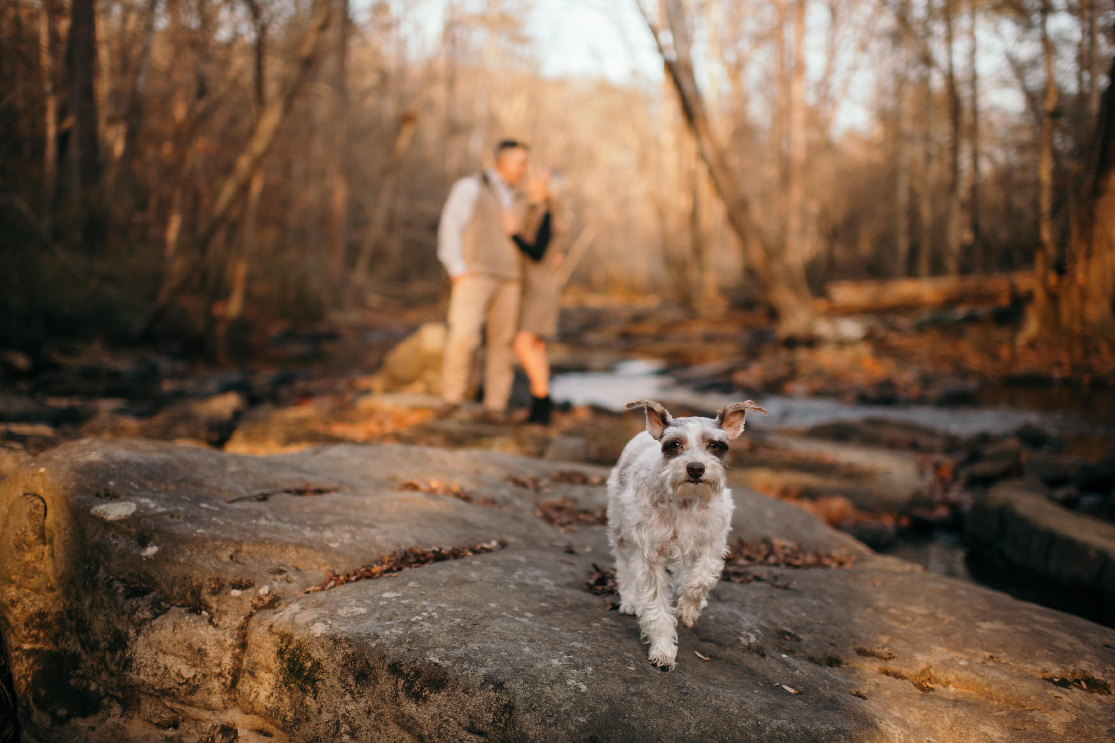 The Wedding Website of Mary Katherine Patton and Steven Wash