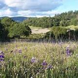 Trione-Annadel State Park