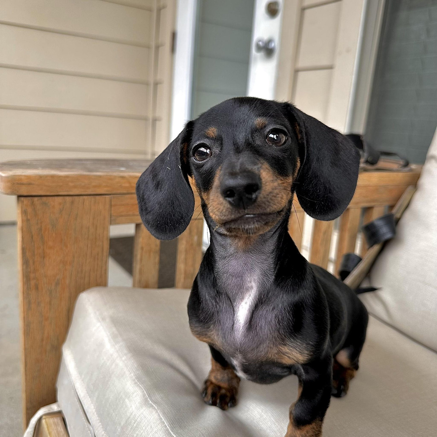 another George pic