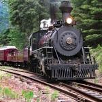 The Skunk Train & Railbikes
