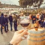 Temecula Wine Tours and Experiences