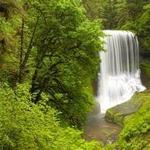 Silver Falls State Park
