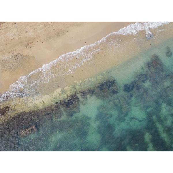If you're looking to enjoy crystal blue waters, Vieques has got you covered.