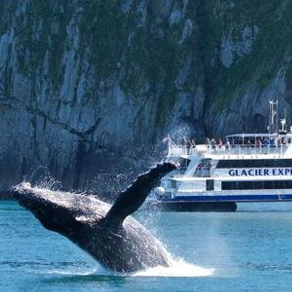 Kenai Fjords National Park Boat Tour, Seward AK
