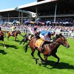 The Curragh Racecourse