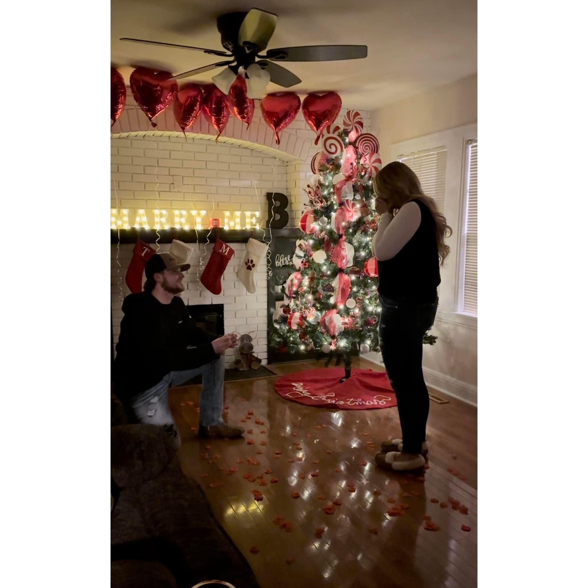 December 25, 2024 "The Proposal"
