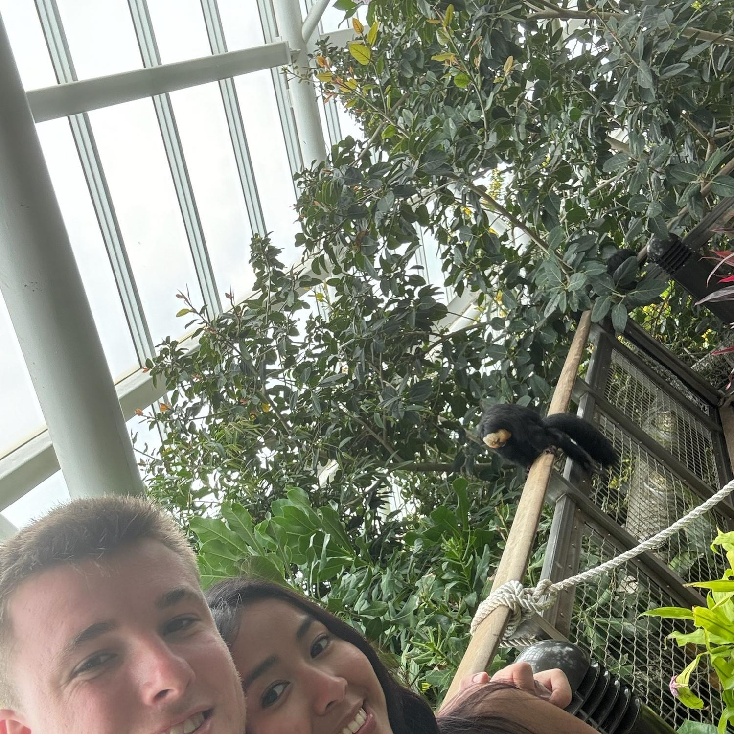 The Rainforest Pyramid in Galveston, TX was so cool!