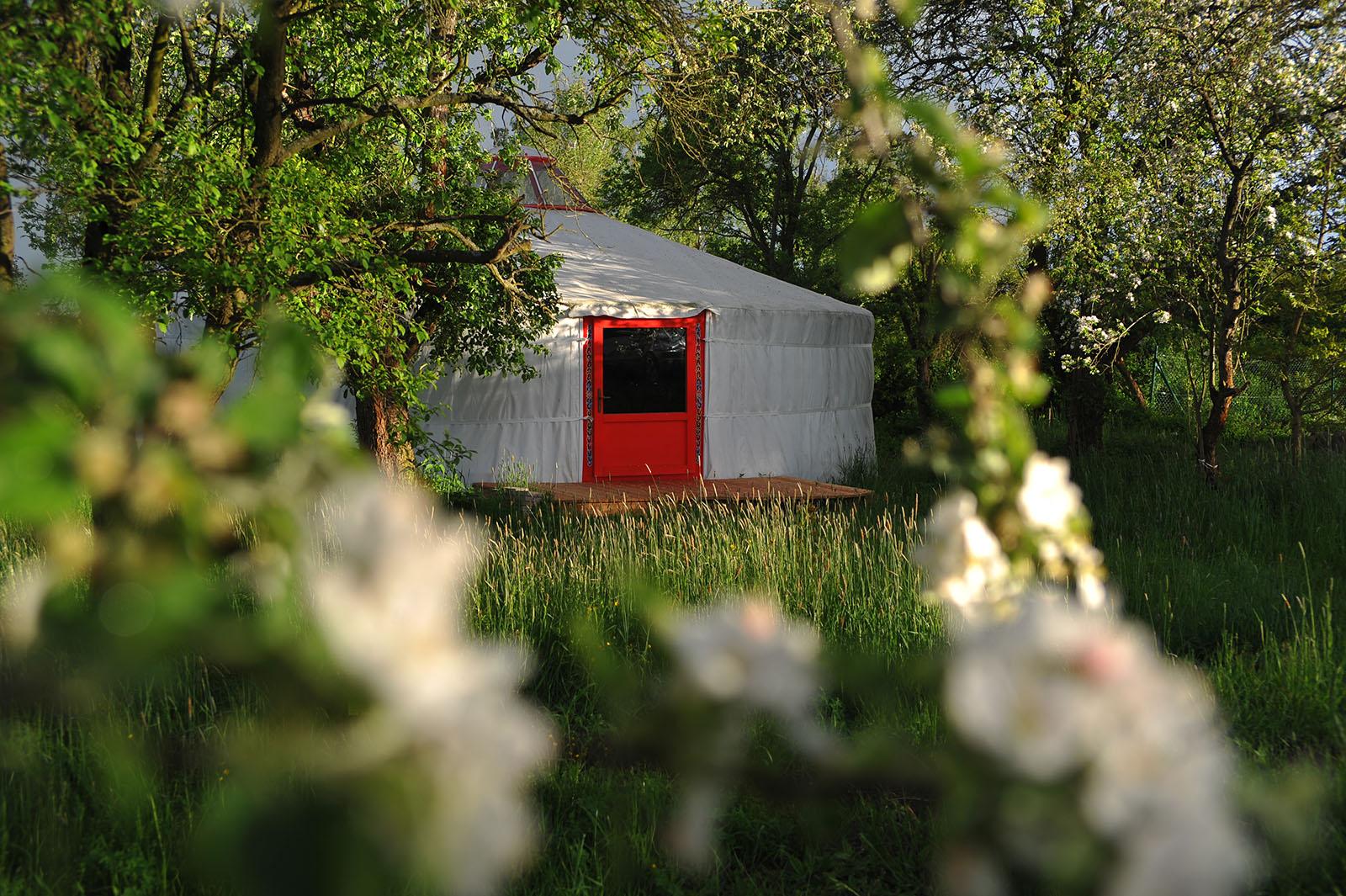 The Wedding Website of Jakub Malíř and Natálie Malířová