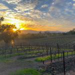 Paraduxx Winery
