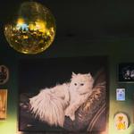 The Tiny Pony Tavern